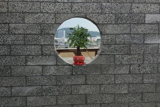 新型墙材致富新路 投资陶粒泡沫混凝土砌块的优势