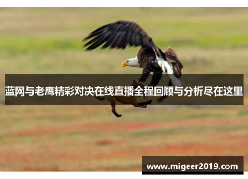 蓝网与老鹰精彩对决在线直播全程回顾与分析尽在这里